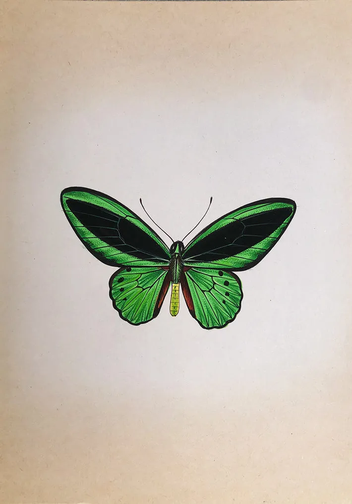 A Playful Butterfly in Miniature Painting by Mohan Prajapati